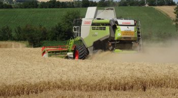 Moisson 2025 : des débuts timides mais prometteurs
