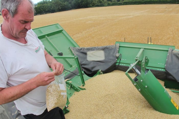Observation de la qualité de la récolte avec la batteuse John Deere