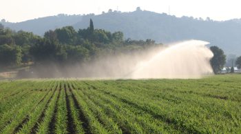 Sécheresse 2025 : des départements en restriction d’eau