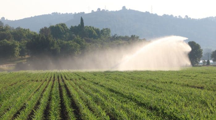 Sécheresse 2025 : des départements en restriction d’eau