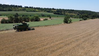 Travail agricole par forte chaleur : la check-list pour les agriculteurs