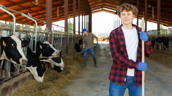 5 questions sur l’embauche d’un jeune de moins de 18 ans