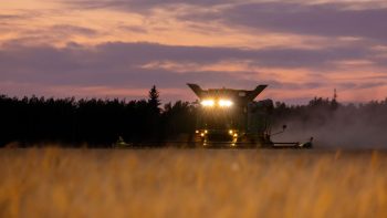 Ai-je le droit de moissonner la nuit ?
