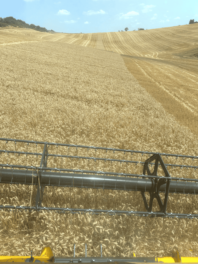 CR New holland 8.80 avis machine