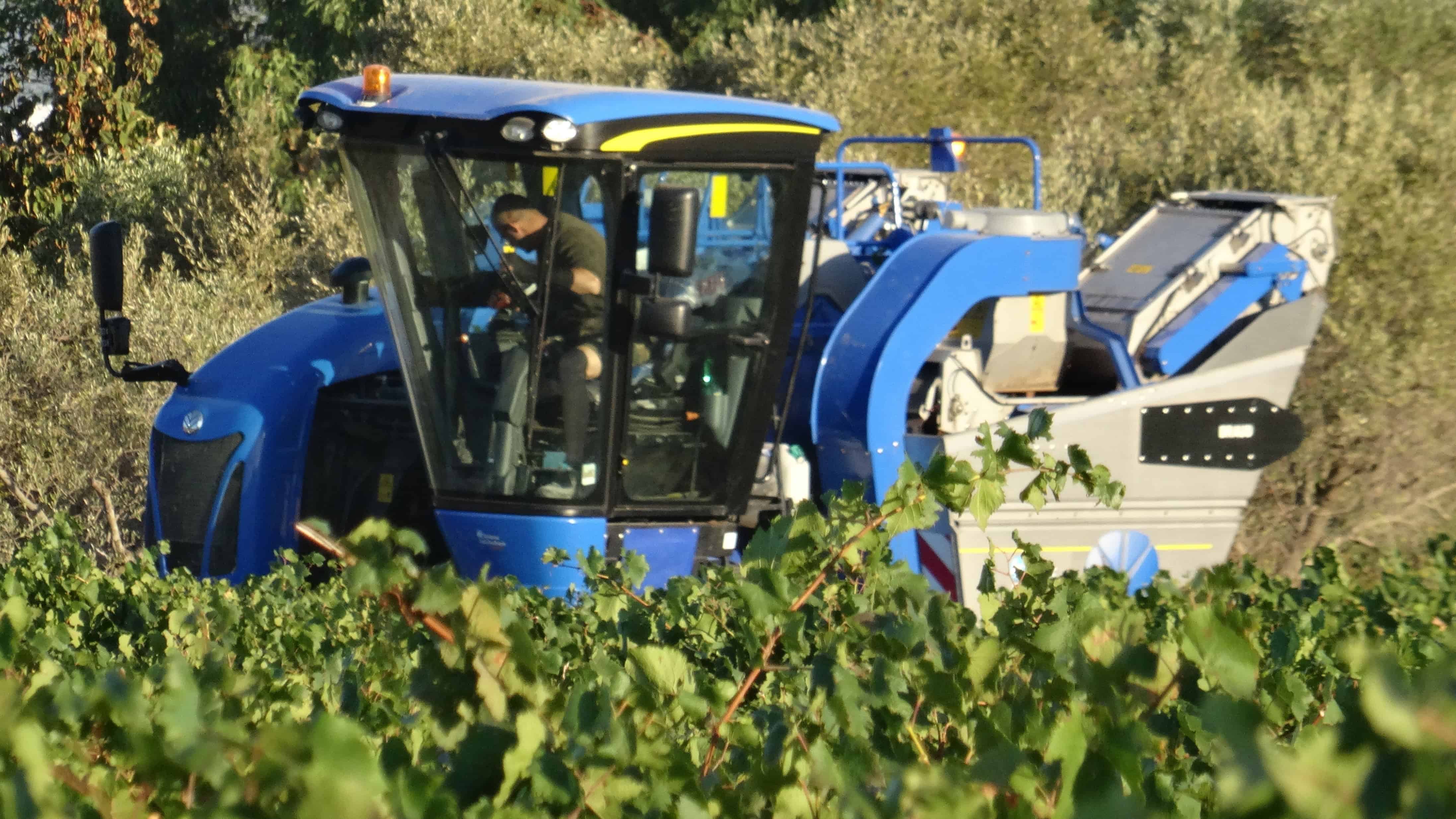La cuma des Gravoches démontre que le modèle cuma est un atout en viticulture.