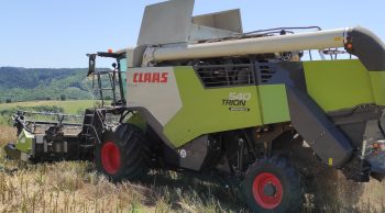 [Moissons 2025] En Occitanie, « des taux de protéines assez bas »