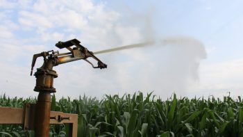Adapter les pratiques d’irrigation aux fortes chaleurs