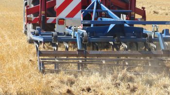 Après la moisson : Semis, fissuration ou déchaumage ?