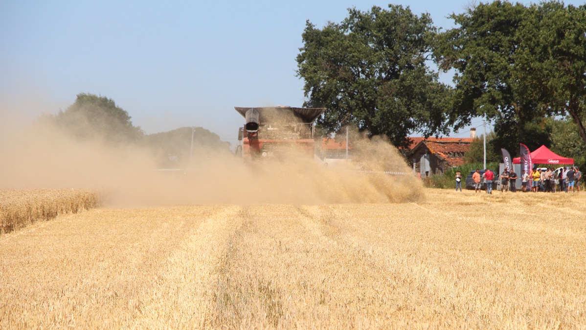 Case IH AF10 éparpillement résidus
