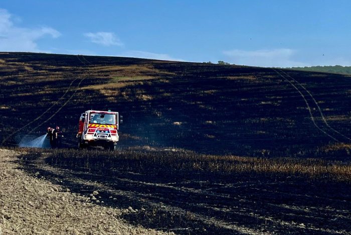 Forte chaleur : comment ils s’organisent pour éviter les feux de moisson