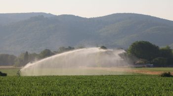 État des nappes phréatiques : la baisse se poursuit