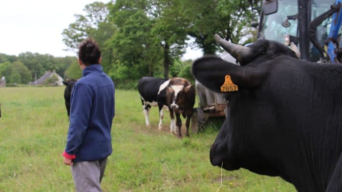 L'agricultrice dirige l'atelier de production du lait