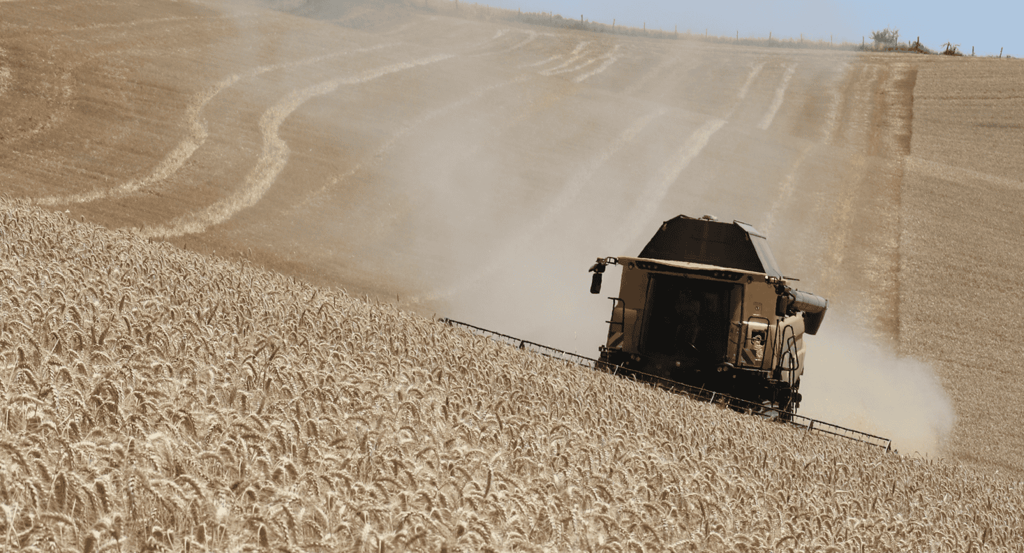 Moisson 2025 bilan sud