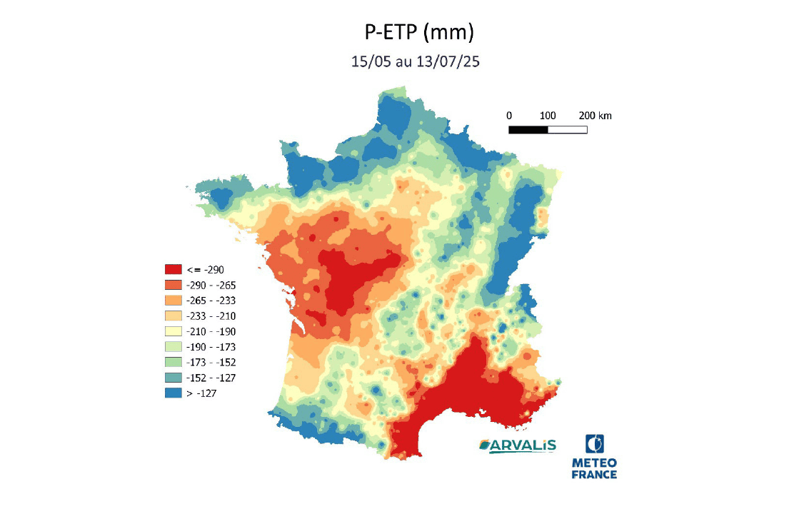 prévision des dates d'ensilage 2025