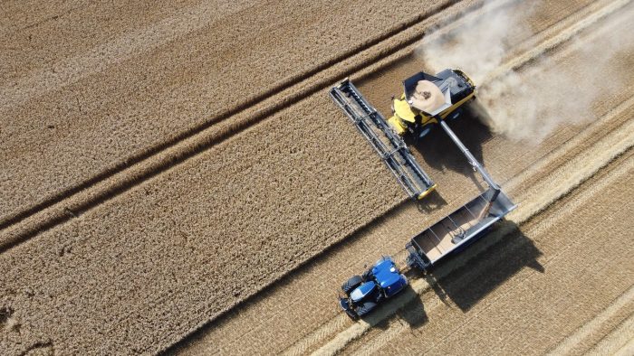 Céréales : vers une récolte mondiale record en 2025 ?