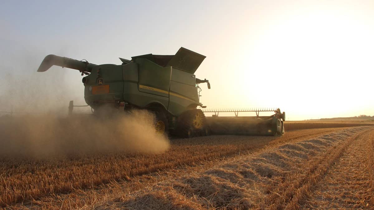 John Deere S780 blé dur