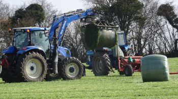 Trajectoires des nouveaux agriculteurs : « une légitimité professionnelle à conquérir »