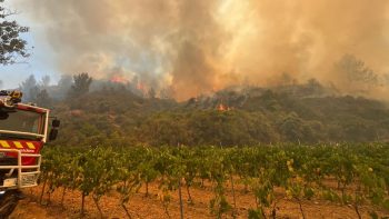 Incendie dans l’Aude: 800ha à 900ha de vignes dans le périmètre du feu