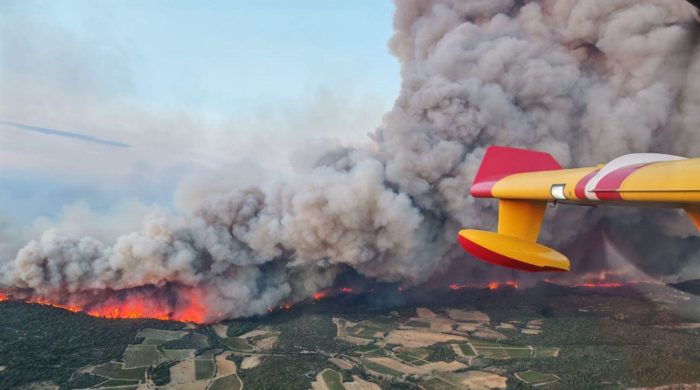 Incendie dans l'Aude: estimation des surfaces viticoles touchées.