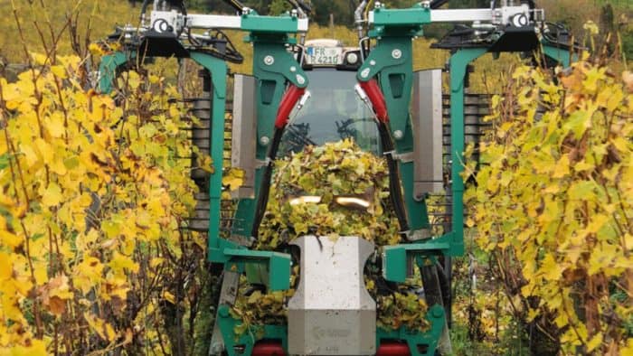 Clemens pretailleuse