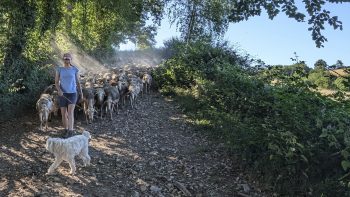 Laure Théron, la laine en héritage