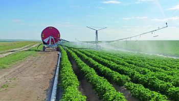 Irrigation : une organisation au cordeau à la cuma Val Irri