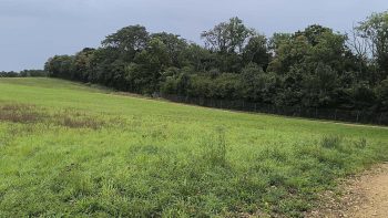 L’herbe, seule option durable et possible