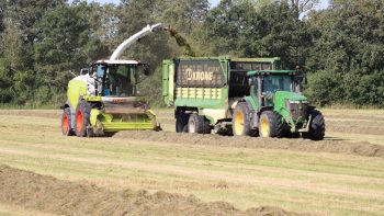 CDD ou CDI : comment choisir ?