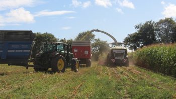 [Ensilage 2025] Le service, un argument qui pèse