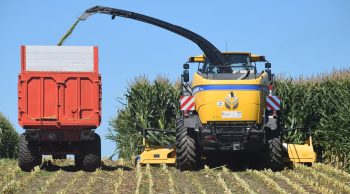 [Ensilage 2025] « On compte sur les stocks de l’année dernière pour passer l’hiver »