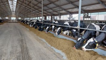 John Deere et Delaval étendent leur solution d’efficience de l’élevage
