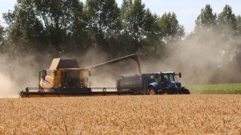 Combien coûte un chantier de moisson ?