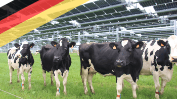 Allemagne – France : deux modèles agricoles face au défi des énergies renouvelables