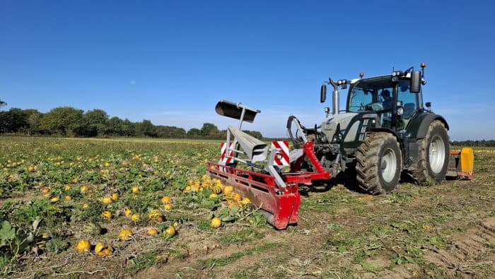 andainage des courges