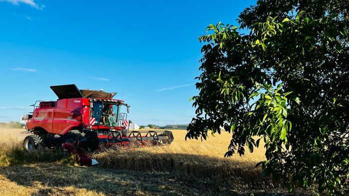 points forts moissonneuse-batteuse case IH