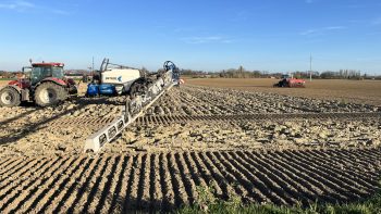 Désherbage automnal, actionner tous les leviers