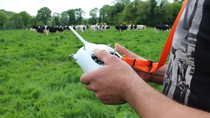 drone en élevage
