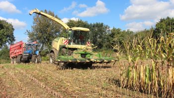 [Avis] Xcollect 600-3 : le nouveau bec de l’ensileuse Krone
