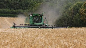 Budget de l’agriculture en 2026 : quelles aides préservées et quels sacrifices ?