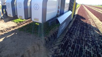 Désherbeur laser agricole : Terra Robotics améliore le désherbage de précision sans chimie