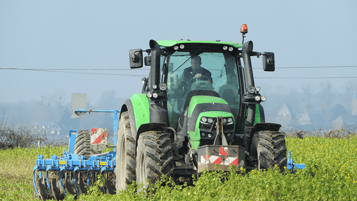 les couverts végétaux aident à la décarbonation de l'agriculture