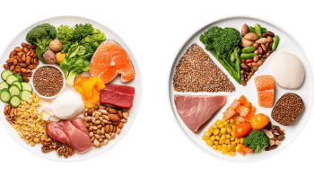 [Décarbonation] Vers une alimentation zéro émission ?