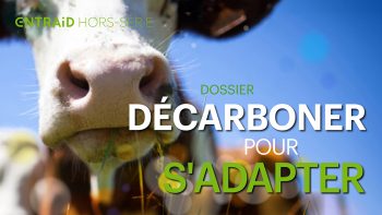 Décarboner pour s’adapter