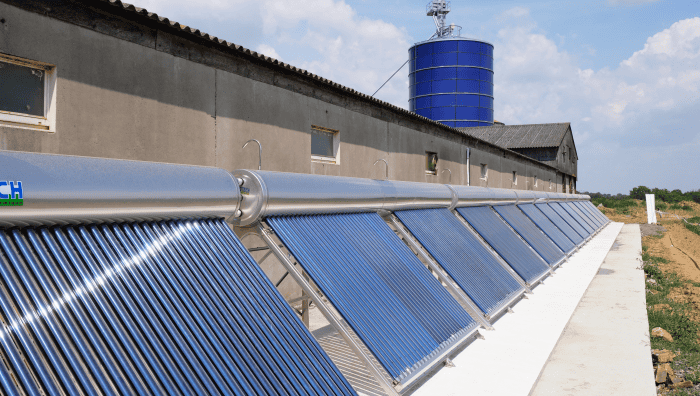 bâtiment élevage basse consommation