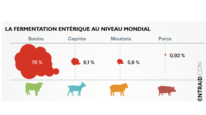Arrêter l'élevage pour réduire les émissions de méthane