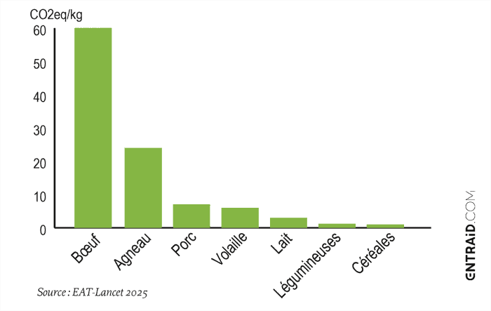Réduire le Boeuf pour une alimentation zéro émission