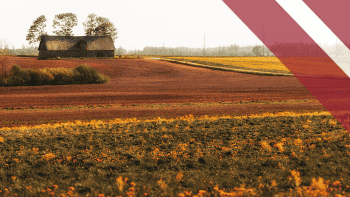 Foncier agricole en Lettonie : des leviers en or