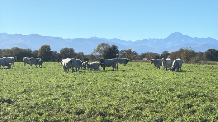 Le labour a une grande importance dans l'autoconsommation de son élevage