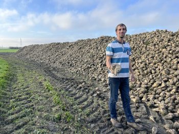 Les bons rendements de betteraves, la seule bonne nouvelle ?