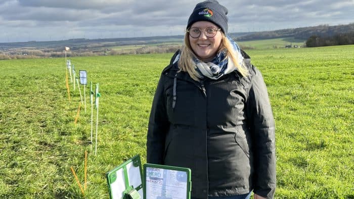 Comment choisir le trèfle qui vous rendra chanceux ?